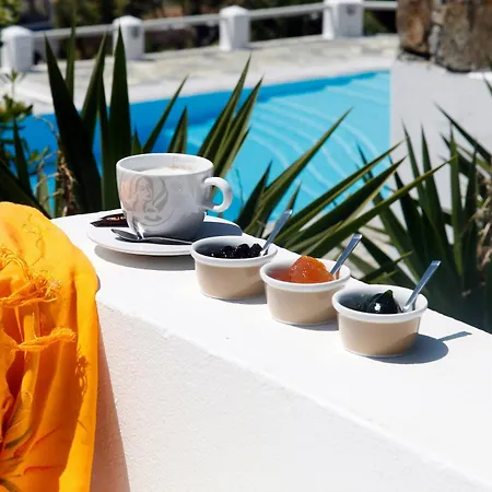 Olia Hotel 3*